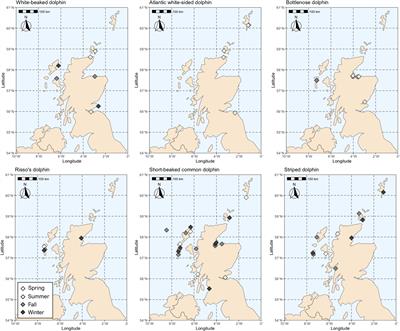 Stable isotope ecology and interspecific dietary overlap among dolphins in the Northeast Atlantic